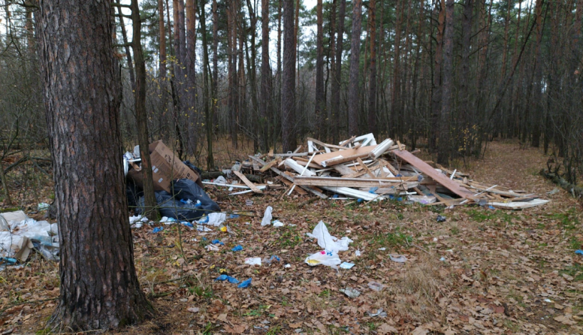 Более 1,2 тысячи кубометров мусора вывезли из лесов Московской области