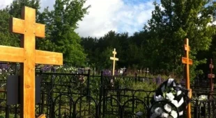 Токаревское кладбище фотография 2