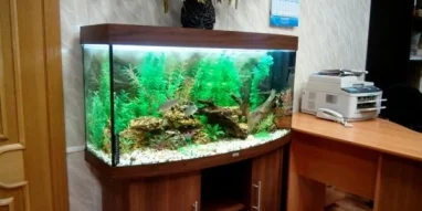 Интернет-магазин аквариумов Золотая рыбка фотография 8