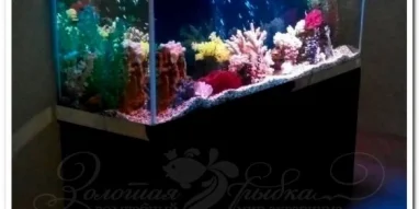 Интернет-магазин аквариумов Золотая рыбка фотография 6