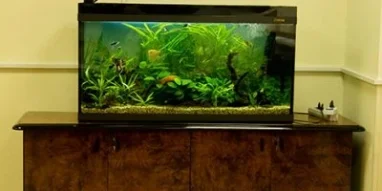Интернет-магазин аквариумов Золотая рыбка фотография 5