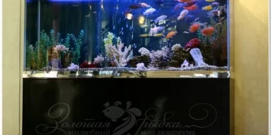 Интернет-магазин аквариумов Золотая рыбка фотография 4