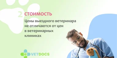 Ветеринарная клиника Vetdocs на проспекте Победы фотография 10