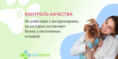 Ветеринарная клиника Vetdocs на проспекте Победы фотография 11