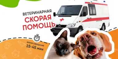 Ветеринарная служба ВетСкорая24 на улице Побратимов фотография 5