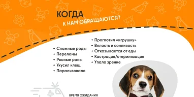 Ветеринарная служба ВетСкорая24 на улице Побратимов фотография 7