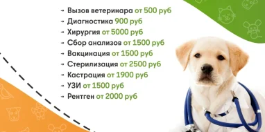 Ветеринарная служба ВетСкорая24 на улице Побратимов фотография 2