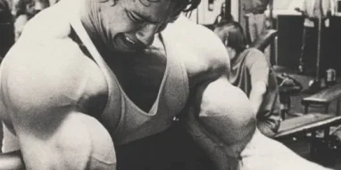 Arnold gym фотография 4